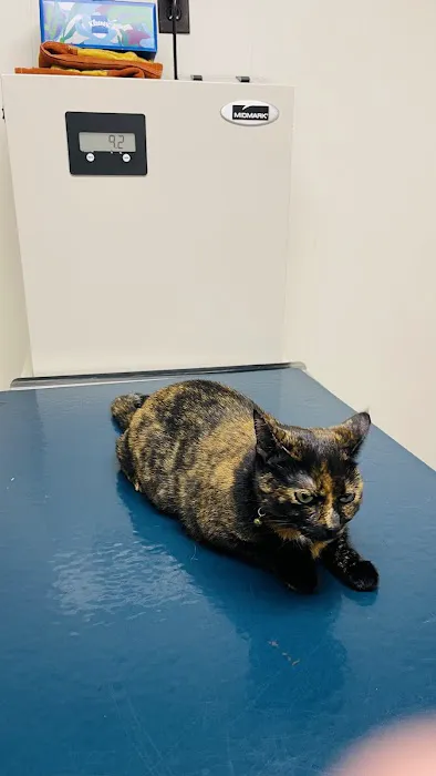 Lake Katrine Animal Hospital Picture 2