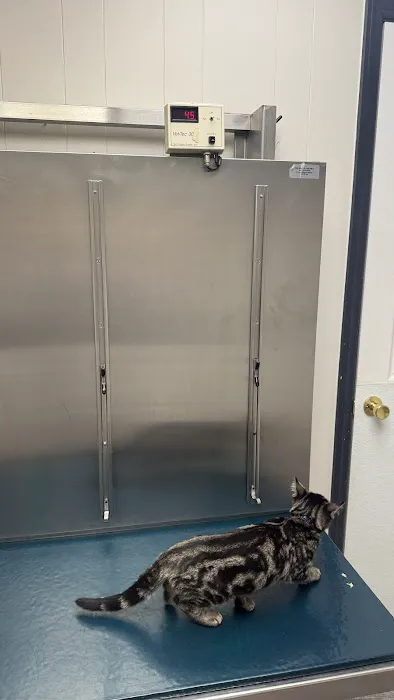 Lake Katrine Animal Hospital Picture 4