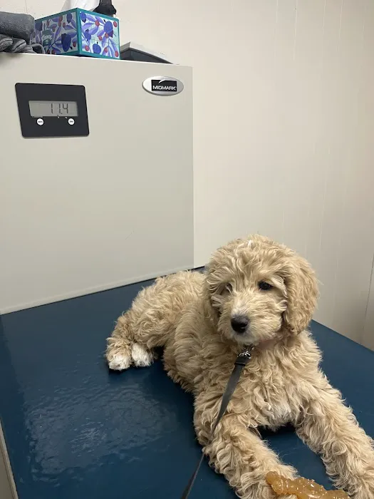 Lake Katrine Animal Hospital Picture 6