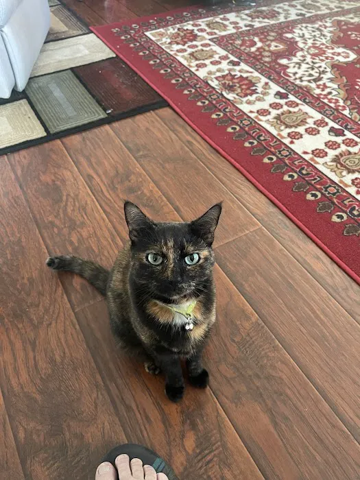 Lake Katrine Animal Hospital Picture 9