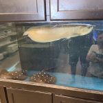 Fish Freaks