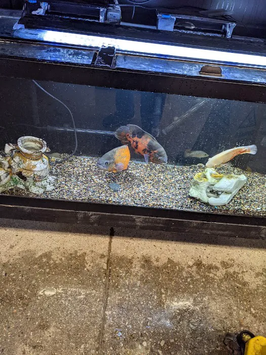 Fish Freaks Picture 5