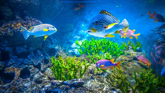 Fish Freaks Picture 3