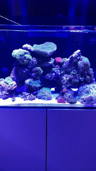 Fish Freaks Picture 6
