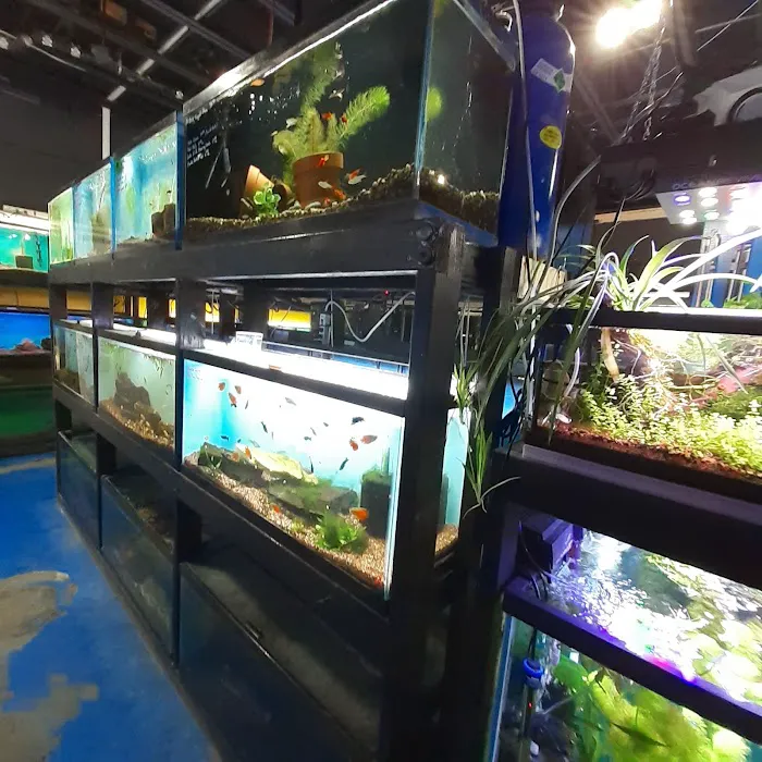 Rivers & Reefs Picture 2