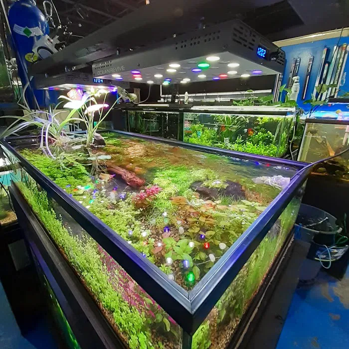 Rivers & Reefs Picture 3