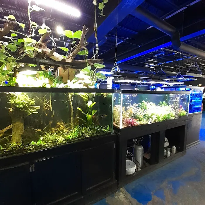 Rivers & Reefs Picture 6