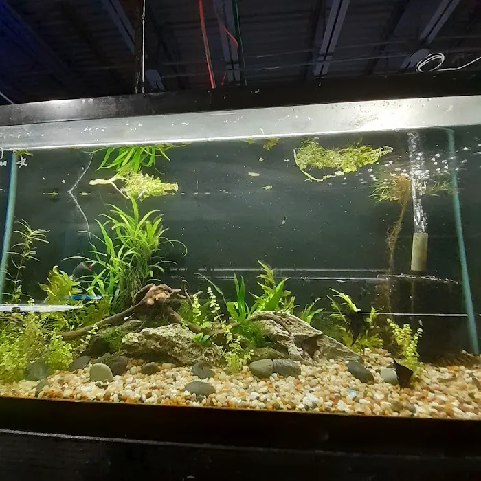 Rivers & Reefs Picture 5
