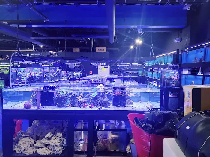 Rivers & Reefs Picture 7