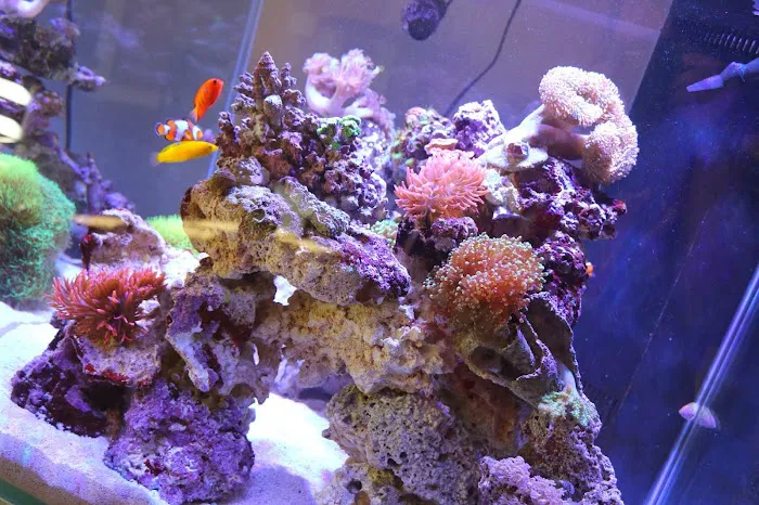 Aqua Pets Picture 1