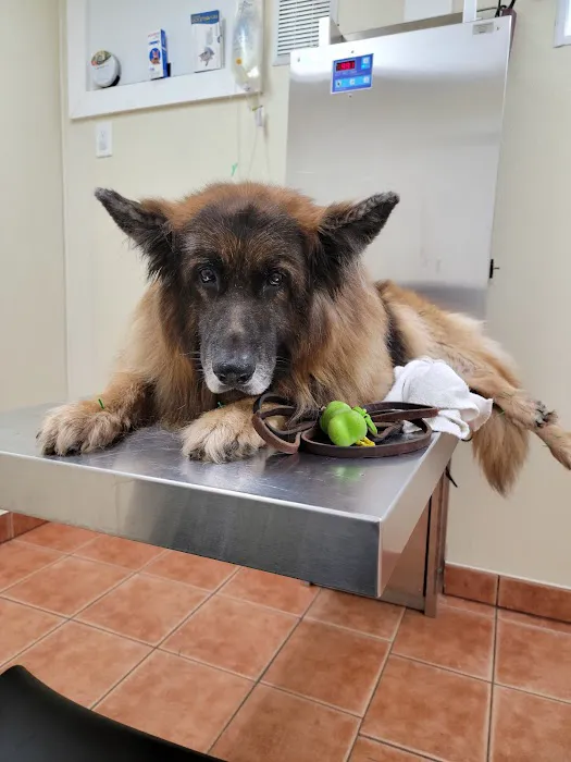 Saugerties Animal Hospital Picture 3