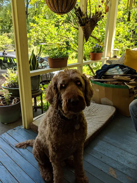 Saugerties Animal Hospital Picture 10