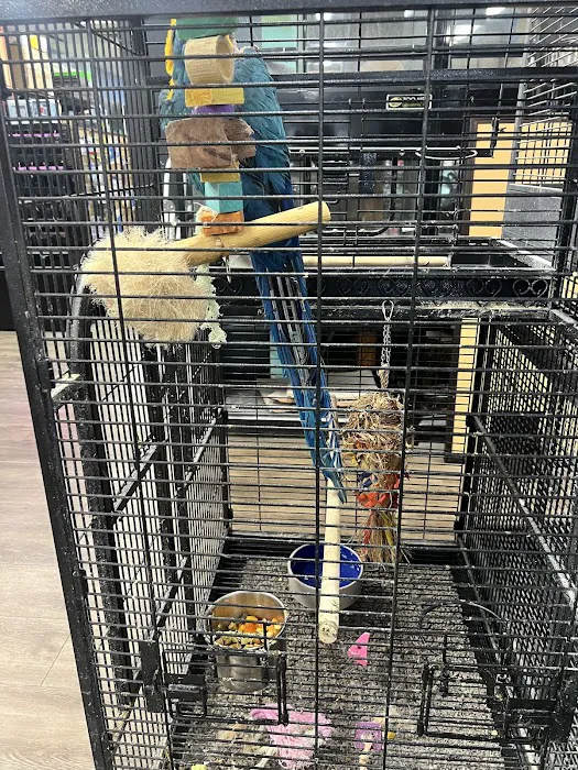 pets r us Picture 2