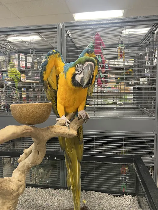 pets r us Picture 1