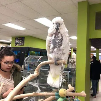 pets r us Picture 10