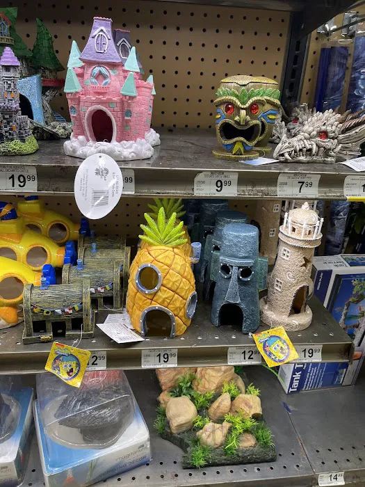 Petco Picture 1