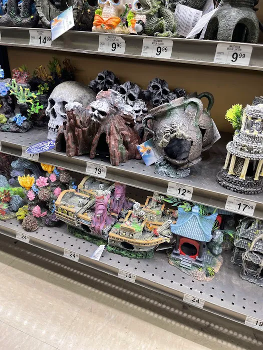 Petco Picture 6