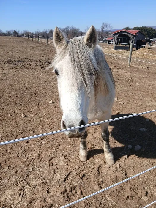 Cross River Veterinary Service Picture 1
