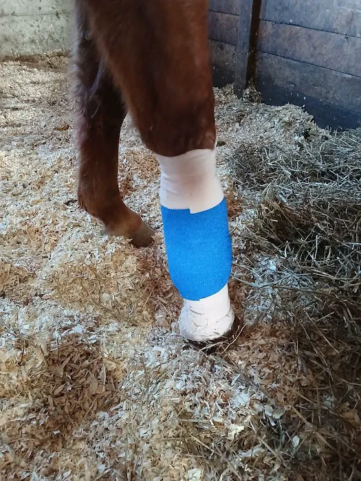 Cross River Veterinary Service Picture 2