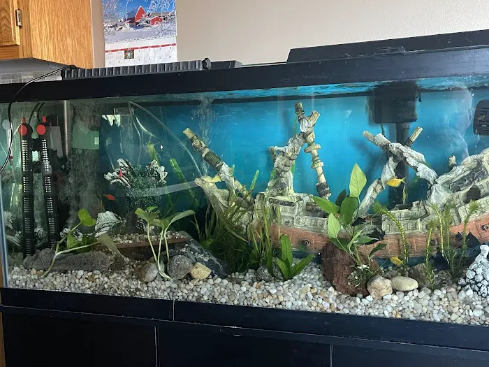 Too Many Tanks Picture 1