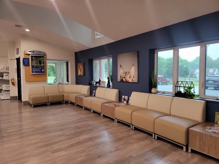 VCA AVH Animal Hospital Picture 2