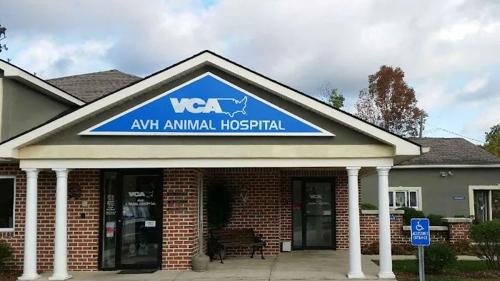 VCA AVH Animal Hospital Picture 3