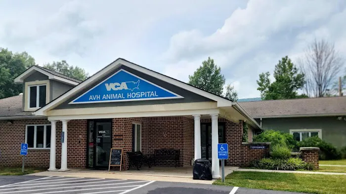 VCA AVH Animal Hospital Picture 1