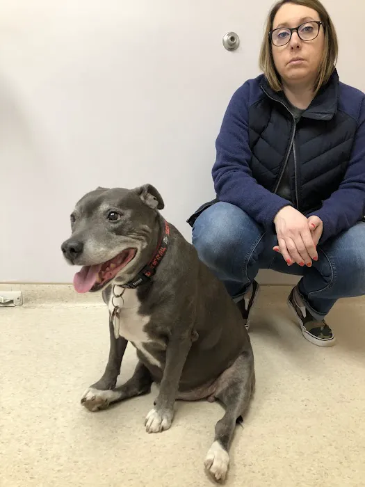 VCA AVH Animal Hospital Picture 6