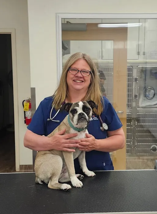 VCA AVH Animal Hospital Picture 7