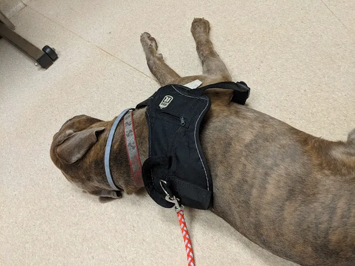 Leck Veterinary Picture 8