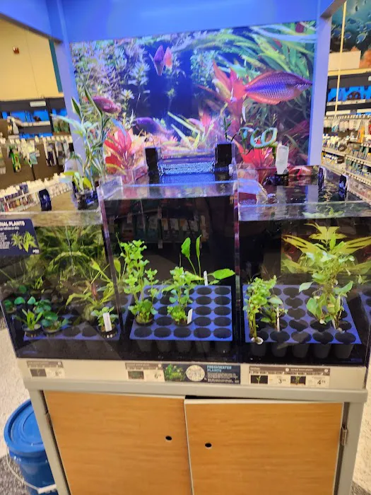 Petco Picture 4