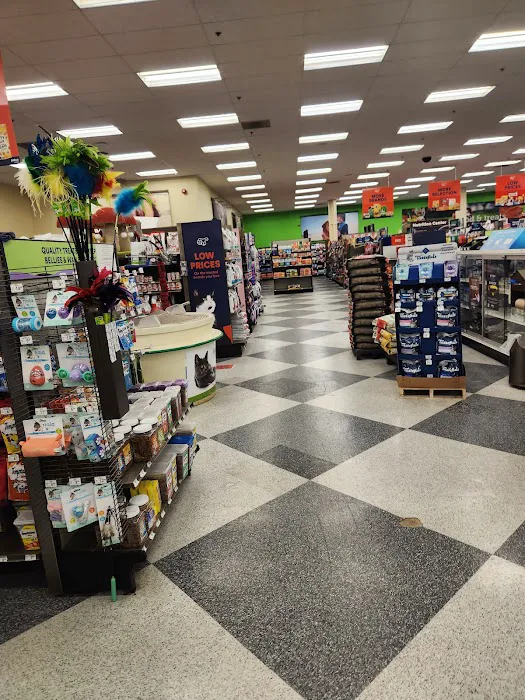 Petco Picture 5