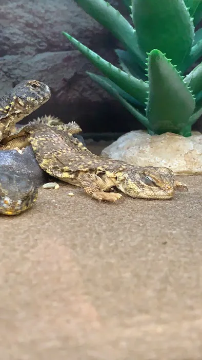 Petco Picture 9