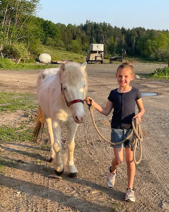 Northeast Pennsylvania Equine Clinic, LLC Picture 1