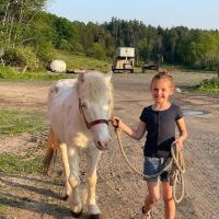 Northeast Pennsylvania Equine Clinic, LLC ico