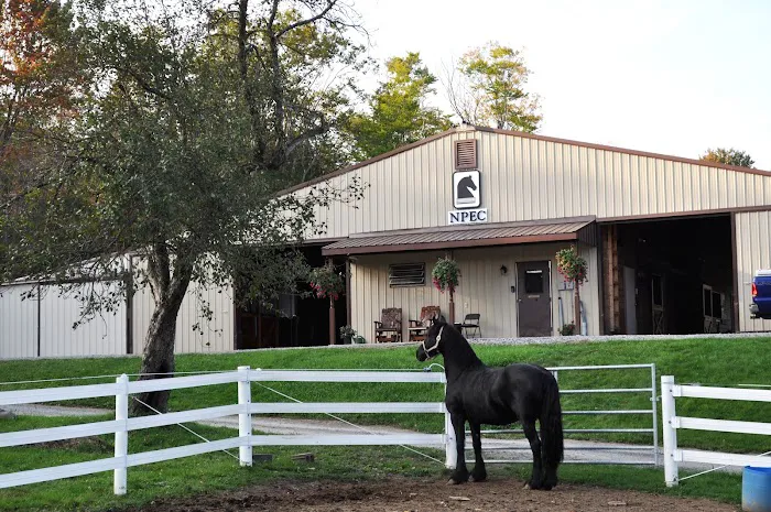 Northeast Pennsylvania Equine Clinic, LLC Picture 2