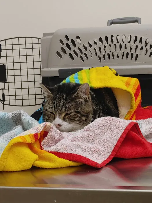 North Winds Veterinary Services Picture 2