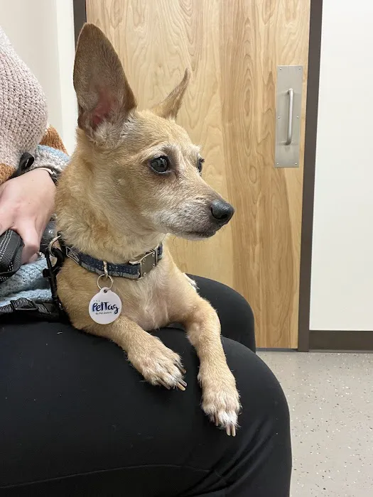 North Winds Veterinary Services Picture 6