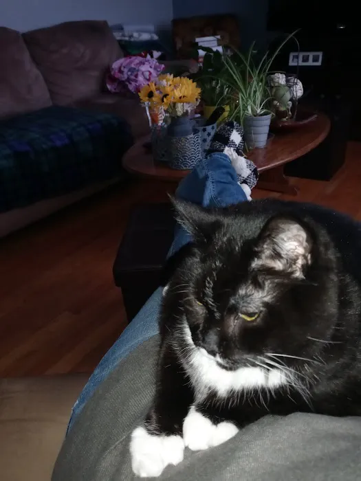 North Winds Veterinary Services Picture 7