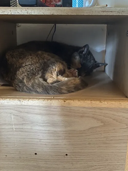 North Winds Veterinary Services Picture 8