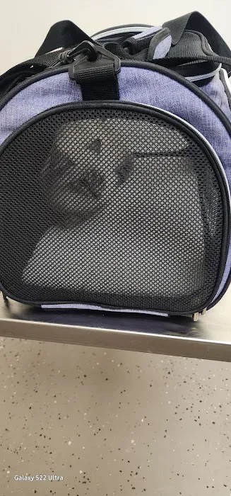 North Winds Veterinary Services Picture 10