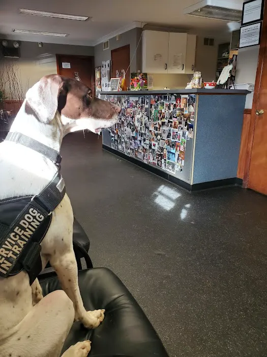 Homestead Veterinary Center Picture 8