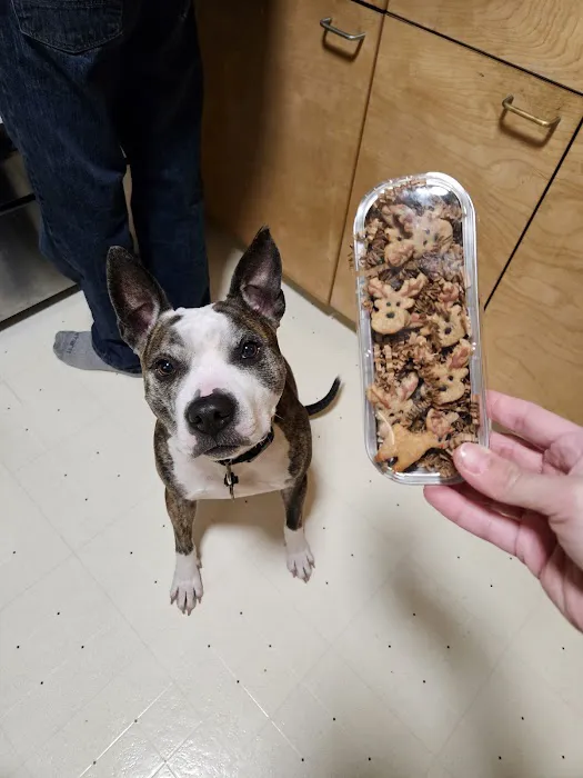 Milo's BARKery & BARKeasy Picture 7