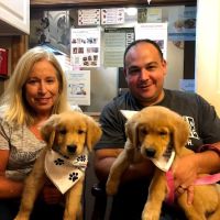 Kanyon's Golden Veterinary Care, LLC ico