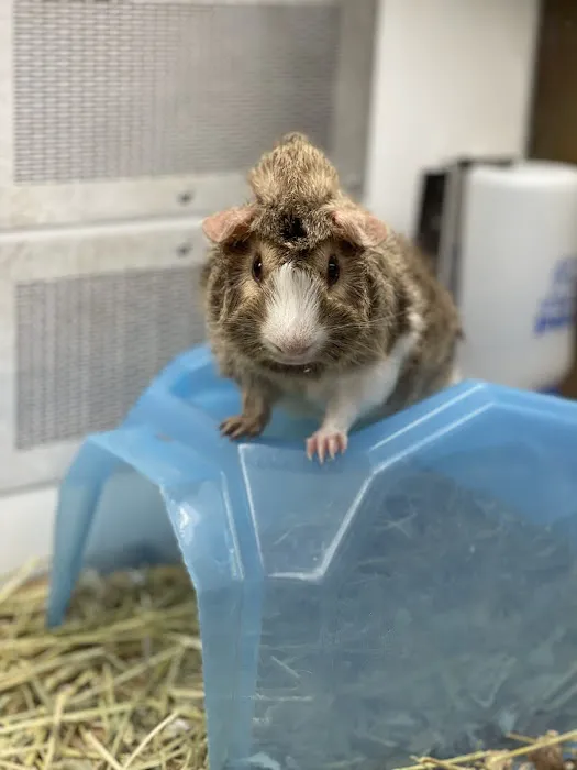 Petco Picture 2