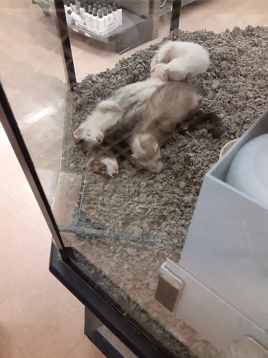 Petco Picture 6