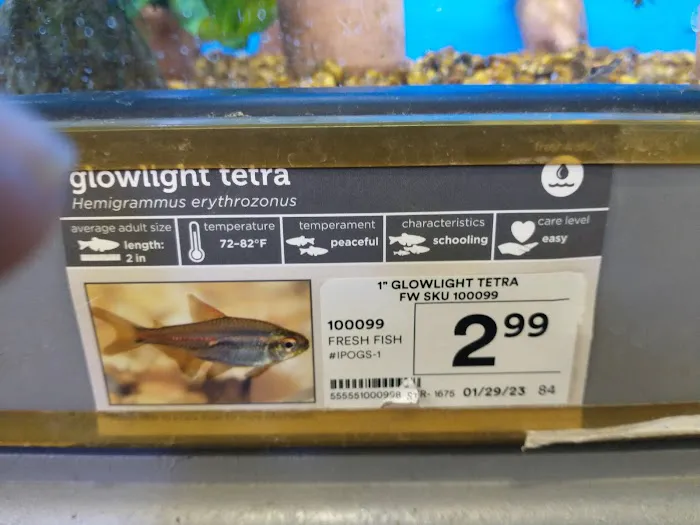 Petco Picture 10