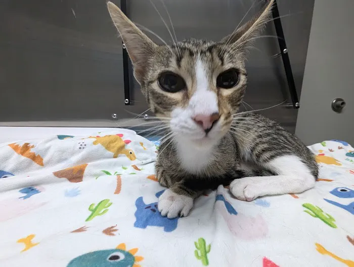 White Haven Veterinary Hospital Picture 6