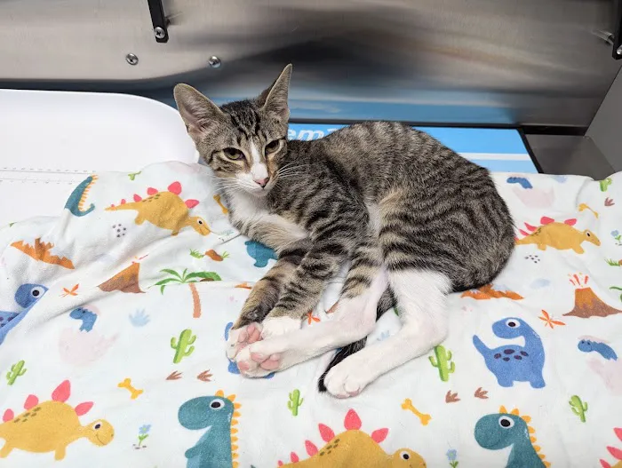 White Haven Veterinary Hospital Picture 7
