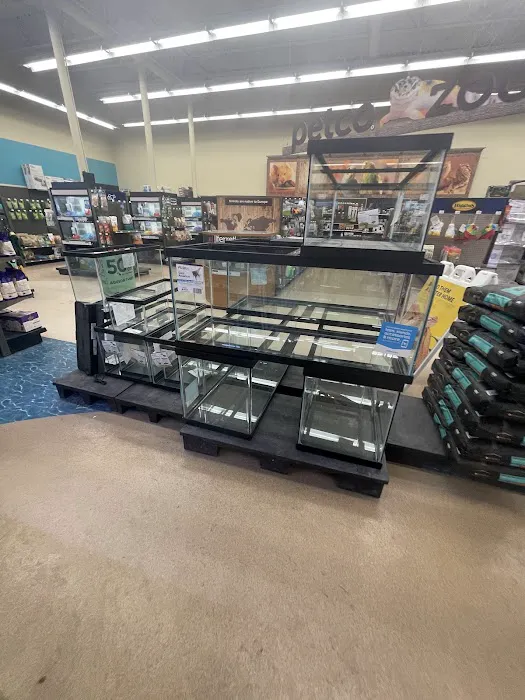 Petco Picture 9